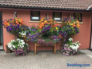 Image of Deluxe Riverside Static Caravan