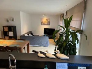 Image of Duplex appartement Dujardin