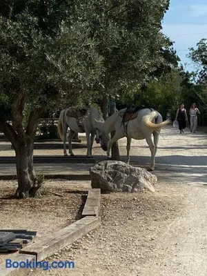 Image of Camping L' Arlesienne