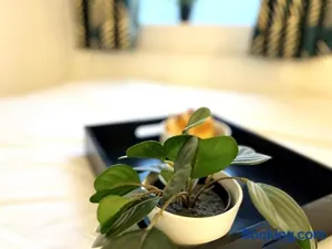 Image of Modern 2 bed close to mall with parking & garden