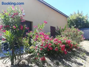 Image of Les Vignes