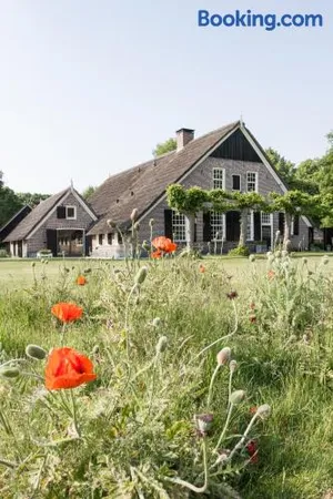 Image of De Rheezer Kamer