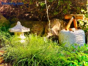 Image of Tranquil Japanese-Gardens Retreat