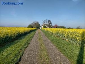 Image of studio ''tulipe'' dans le Berry
