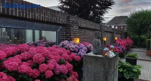 Image of Downtown Hideaway, B&B Grand Deluxe