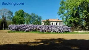 Image of Chez Savary