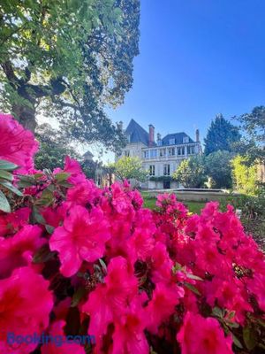 Image of Demeure de Flore - Hôtel Particulier au Coeur de Brive comprenant 7 appartements de charme