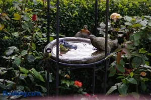 Image of Landhaus Blumenstein