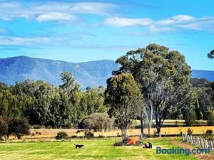 Image of Copper Creek Retreat - sleep next door to the lions