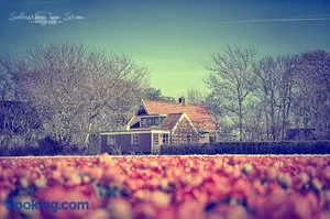 Image of Bungalow Callantsoog