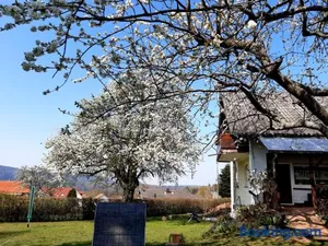 Image of Albblick