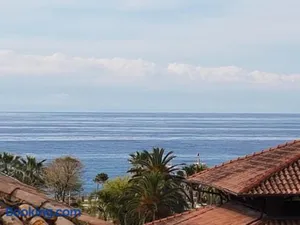 Image of Le Palmaro