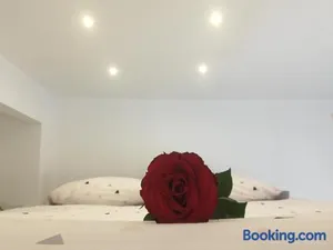 Image of Lovely Studio