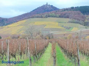 Image of Apartment Route du Vin Centre Alsace