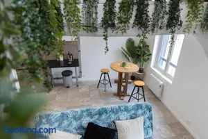 Image of Doux Cocon Tropical au cœur du centre ville