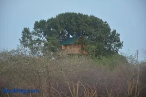Image of Yala Dream Park