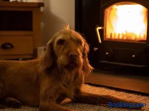 Image of 3 Bed in Lockerbie 89406