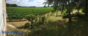 Image of Mirande Montagne-Saint Emilion