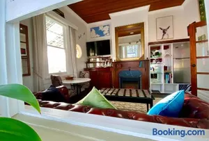 Image of Little bird