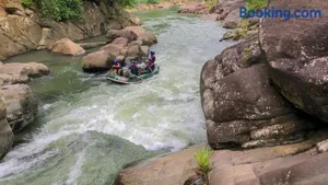 Image of Jungle River
