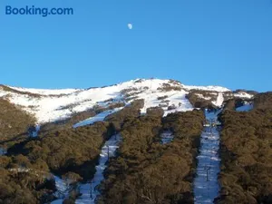 Image of Thredbo 31