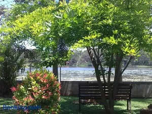 Image of Shashin Lake Resort
