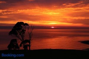 Image of Penguin Seaside Farm