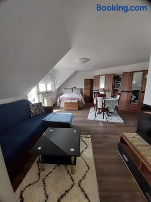 Image of StayInn Möckern - 1 Studio Apartment für 3 Personen -1Zimmer mit Schlafsofa und Doppelbett-kein zweites Zimmer