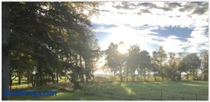 Image of Getelodge - Private Family Country Lodge - Child and Pet friendly