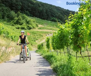 Image of Ferienhaus Scheer