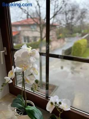 Image of Suite SZ-Lichtenberg