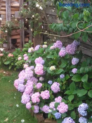 Image of „Lebenslust“