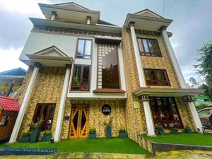 Image of Cilantro Unwind Delisso Abode