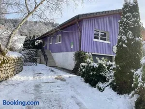 Image of Gîte calme avec jardin zen, piscine et randonnée au Parc des Vosges - FR-1-589-763