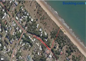 Image of Pandanus By the Beach