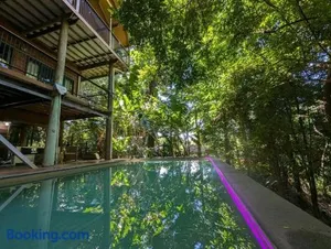 Image of TreeTops by the Sea