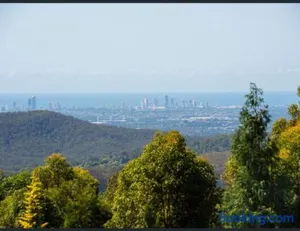 Image of Spectacular Gold Coast Skyline Views