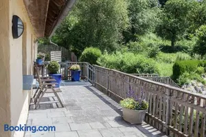 Image of Gerberlaube