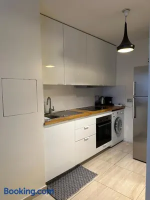Image of Appartement charmant à Issy-les-Moulineaux 49 m² avec terrasse