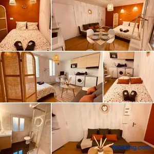 Image of Le Wild Terracotta - Home Homy