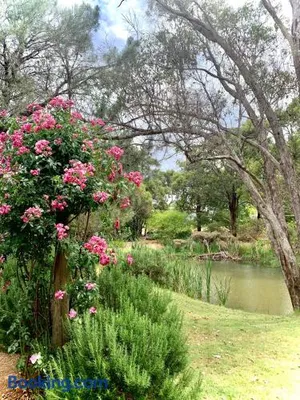 Image of Le Petit Chateau Homestead Bridgetown
