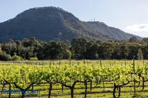 Image of Brokenback Vineyard Cottage