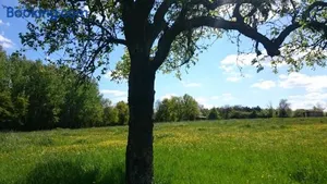 Image of Domaine de la Grangée