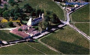 Image of Château Dudon