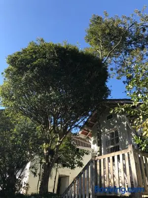 Image of Loft Palácio de Cristal
