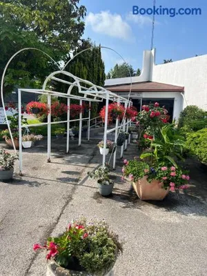 Image of Motel 25