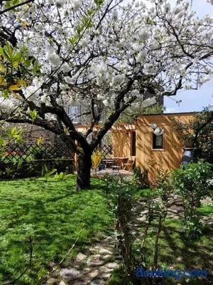 Image of La maisonnette sous le cerisier