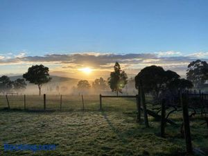 Image of Rose Cottage Yarra Glen