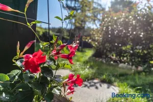 Image of Ferienwohnung 250m zum Grimnitzsee