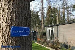 Image of Japanse bostuin met Wifi